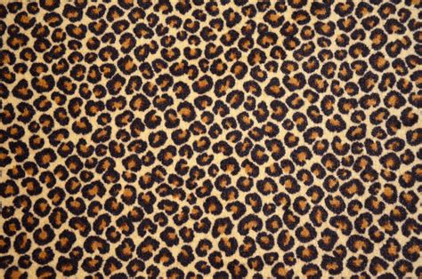 dean    leopard print area rug
