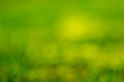Background Green Free Stock Photo Public Domain Pictures