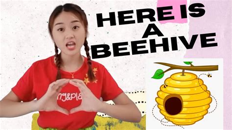 Here Is A Beehive But Where All The Bees Youtube