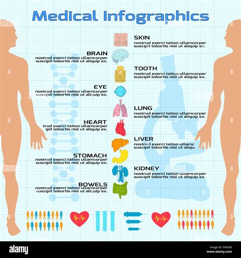 Medical Infographic Flat Stock Vector Image Art Alamy