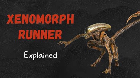 Xenomorph Runner Explained Alien Lore Youtube