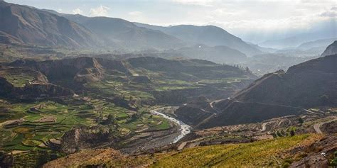 Colca Canyon Oasis Palmeras Full Day Findlocaltrips