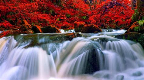 1920x1080 Red Forest Fall Autumn Rock Trees Foliage Waterfall