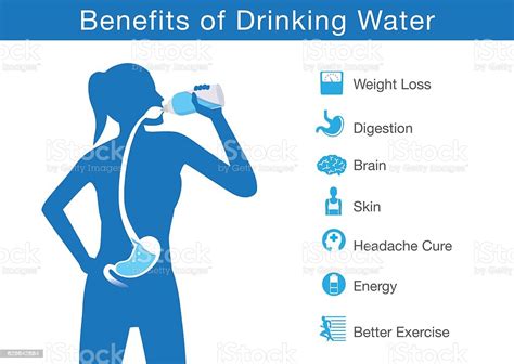 Water is important to the mechanics of the human body. Benefit Of Drinking Water Stock Illustration - Download ...