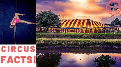 Circus Fun Facts Youtube