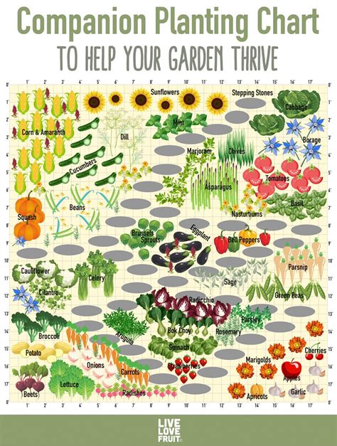 This Companion Planting Chart Will Help Your Garden Thrive