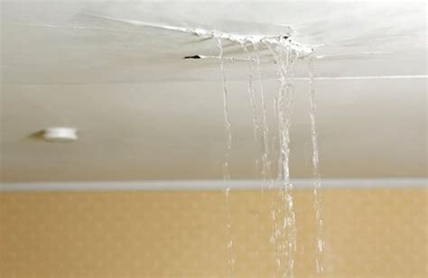 The first step to repairing ceiling water damage is to fix the source of the problem. Repairing a Water Damaged Ceiling - Connected Restoration ...