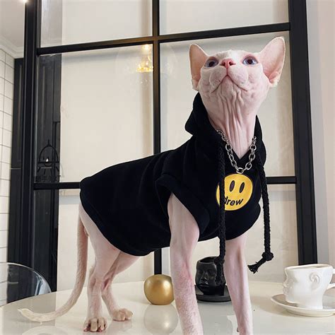 cotton hairless cat clothes sphynx cat clothing hooded smile etsy