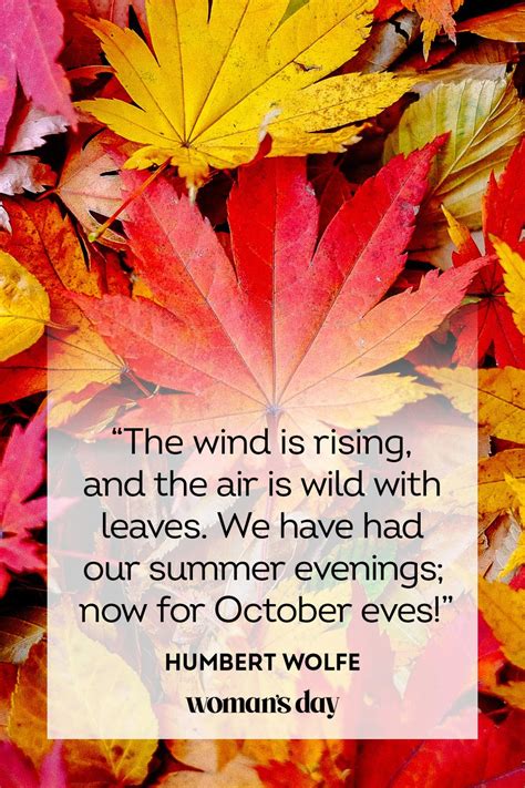 55 Best Fall Quotes For 2022 Beautiful Sayings About Autumn