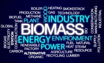 Biomass is organic material made from plantsand animals. How does biomass work to produce energy and make use of it