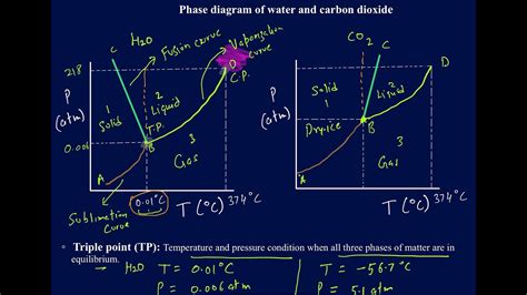 Phase Diagram Of Water And Carbon Dioxide Explained Youtube
