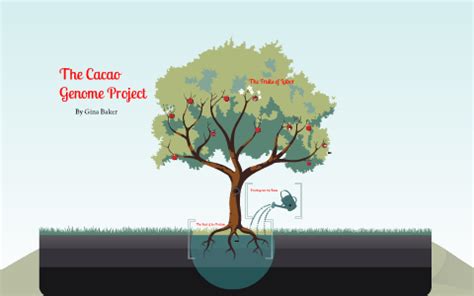 The cacao project ph is an initiative of zaba online shop in partnership with jaum farm in libungan, north cotabato which aimed to support the cacao growers in their locality to sustain their. The Cacao Genome Project by Gina Baker on Prezi Next