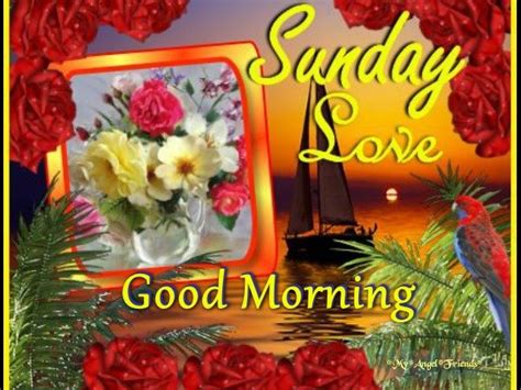 Sunday Love Good Morning Pictures Photos And Images For Facebook