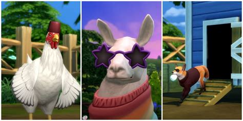 Sims 4 Pet Bird Mod You Might Be Familiar With The Red Feathers Of