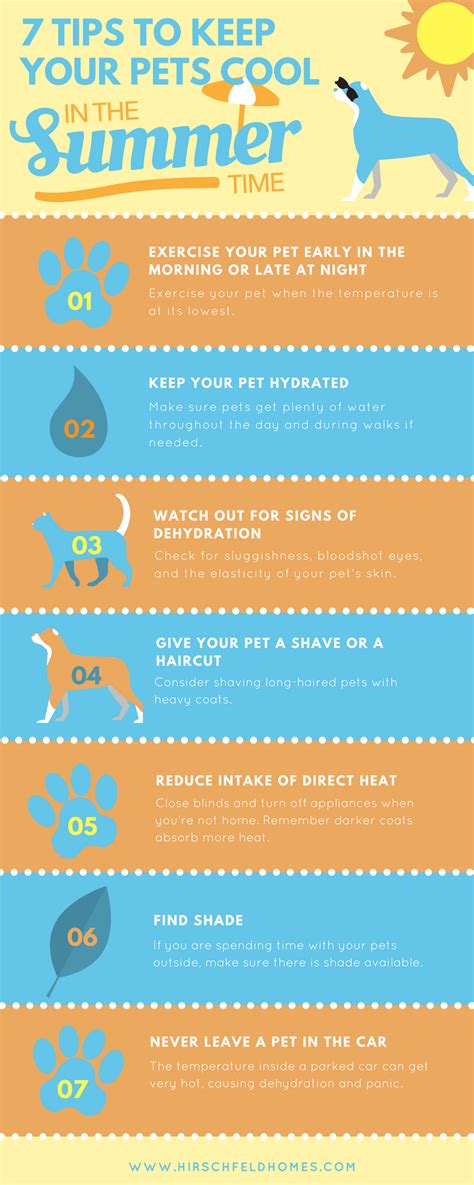 7 Tips For Keeping Your Pets Cool This Summer Hirschfeld