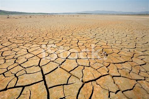 Landscape Of Dry Cracked Ground Stock Photos