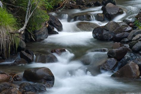 River Stream - FREEBigPictures.com