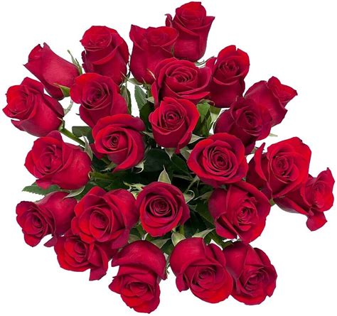 24 Long Stems Roses With Vase 14999 Delivered On Valentines Day Only