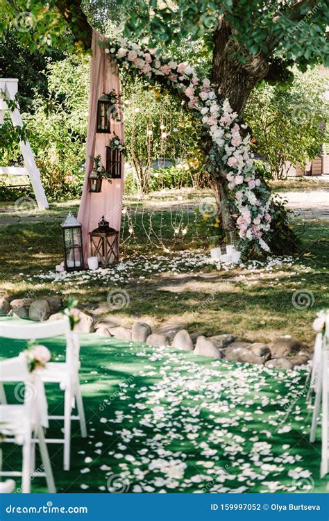 The Luxurious Design Of The Summer Wedding In The Garden Near The Tree