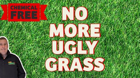 How To Get Rid Of Weed Grass In Your Lawn Without Chemicals And