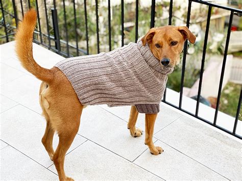 Dog Coat Knitting Patterns For Large Dogs Tradingbasis