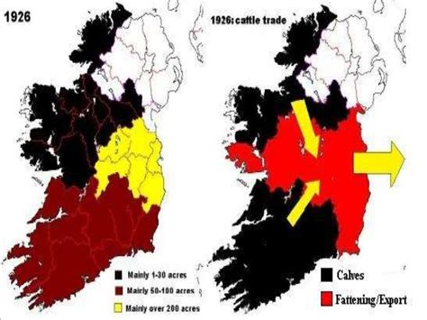 The Rise And Fall Of The Irish Celtic Tiger