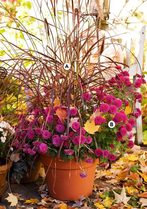 31 Gorgeous Fall Container Garden Ideas To Try Right Now