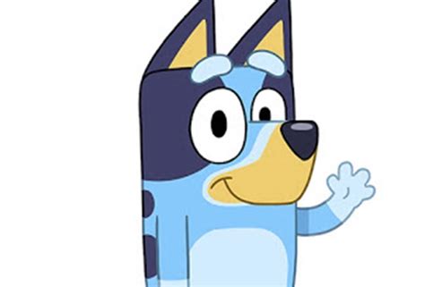 Celebrate Cartoon Hit Bluey Returns For 52 New Episodes On Aussie Tv