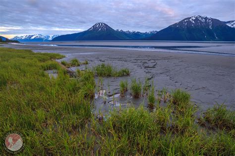 Turnagain Arm Alaska Alaska Guide