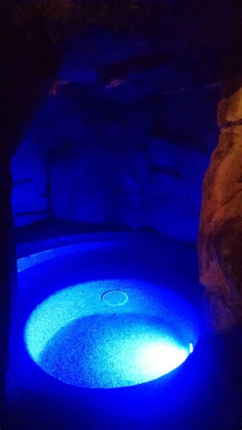 Custom Ricorock Cave And Waterfall With Waterslide Enclosure