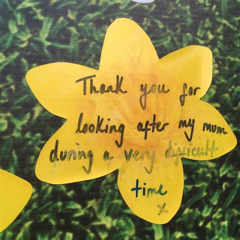 Remembering loved ones at the Marie Curie Garden of Light