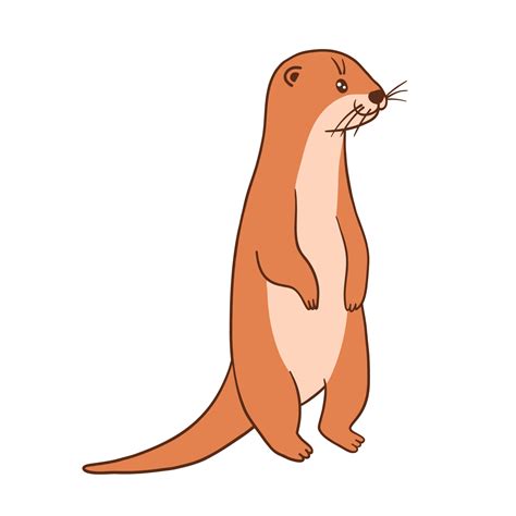 Cute Otter Vector Flat Cartoon Illustration Isolated On White Background Otters Standing