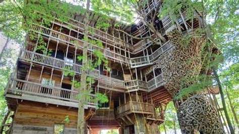 Tennessee Tree House Puts All Other Forest Dwellings To Shame Fox News