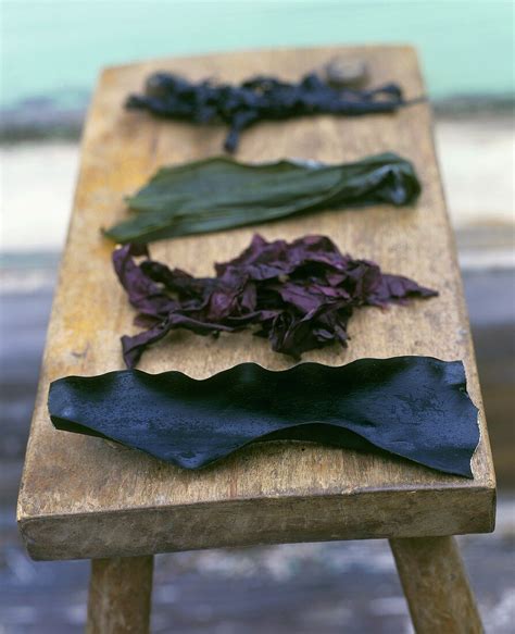Various Types Of Edible Seaweed License Images 659357 Stockfood