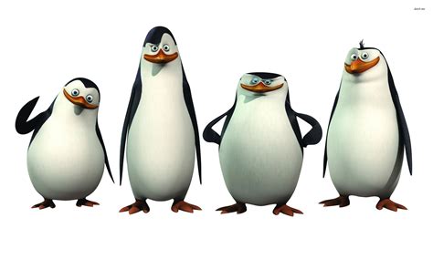 Cartoon Penguin Wallpapers Top Free Cartoon Penguin Backgrounds