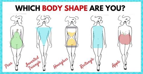 Whats Your Body Shape Take Our Quiz • Leslie Friedman In 2020 Body