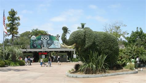 Filesan Diego Zoo Entrance Elephant Wikimedia Commons