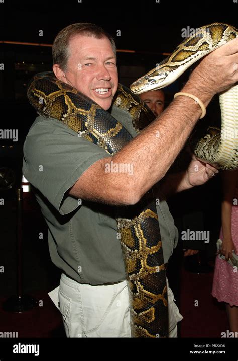 Sylvesterjulessnake041 Red Carpet Event Hi Res Stock Photography And