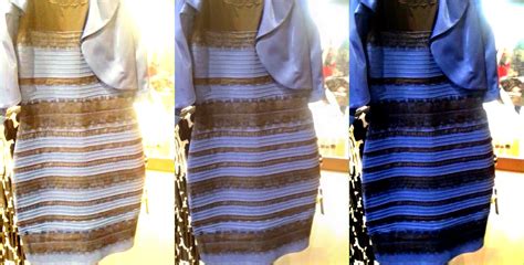 The Mirror Ed Life Why Some People See The Dress As Blue And Black