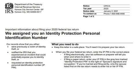 When Are Irs Pins Sent Out What To Expect — Fix Scam