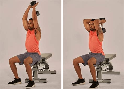 Seated Tricep Press How To Muscles Worked Benefits And Alternatives