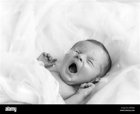 Yawning Baby Newborn In Its Bassinet Studio Portrait Stock Photo Alamy