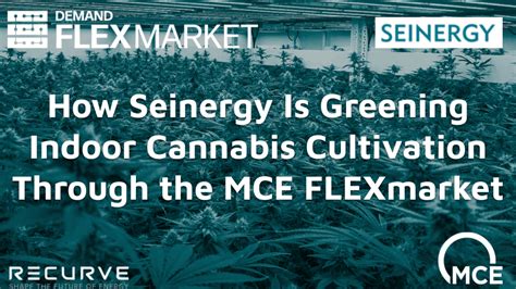 How Seinergy Is Greening Indoor Cannabis Cultivation Through The Mce