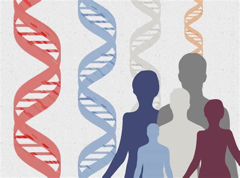 El Genoma Humano M S Cerca De Ser Completado