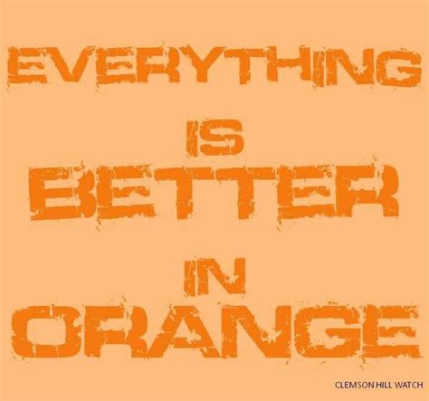Orange Makes Everything Better Orange Crush Shades Of Orange Orange