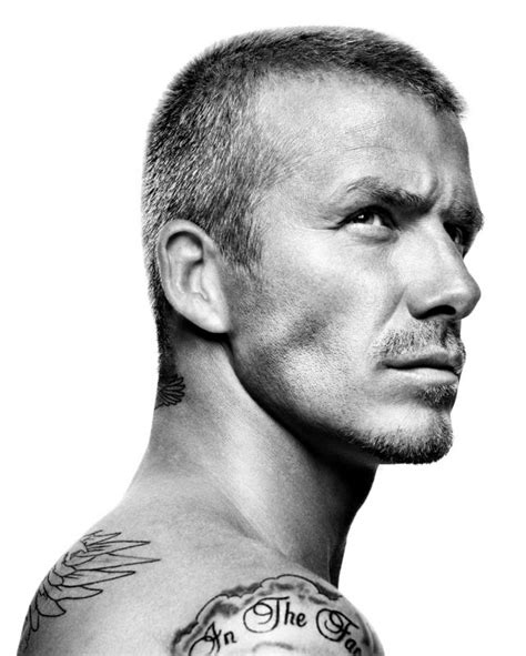 David Beckham Portrait David Beckham Hairstyle Male Portrait