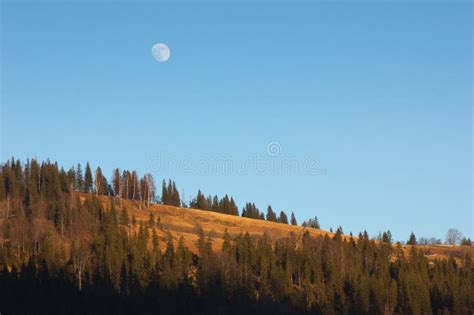 Full Moon Over The Forest Stock Image Image Of Tree 39671647