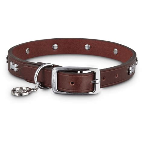 Bond & Co. Brown Leather Bone Stud Dog collar, For Neck Sizes 18-21 ...