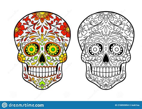 Sugar Skull Coloring Page Stock Vector Illustration Of Contour 210093054