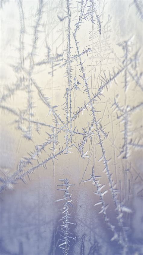 Download Wallpaper 938x1668 Frost Pattern Glass Macro Iphone 876s